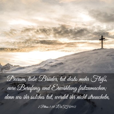 Picture 03 - 2 Petrus 1:10 LUTH1912 - Darum, liebe Brüder, tut desto mehr Fleiß, eure - Bible Verse Picture