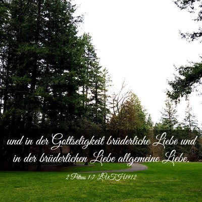 Picture 03 - 2 Petrus 1:7 LUTH1912 - und in der Gottseligkeit brüderliche Liebe und - Bible Verse Picture