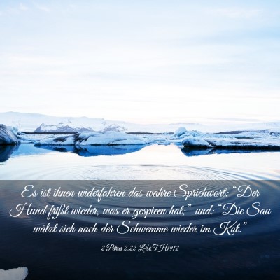 Picture 03 - 2 Petrus 2:22 LUTH1912 - Es ist ihnen widerfahren das wahre Sprichwort: - Bible Verse Picture