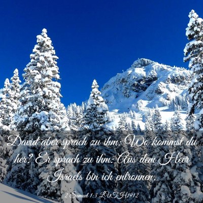Picture 03 - 2 Samuel 1:3 LUTH1912 - David aber sprach zu ihm: Wo kommst du her? Er - Bible Verse Picture