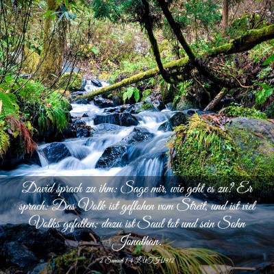 Picture 03 - 2 Samuel 1:4 LUTH1912 - David sprach zu ihm: Sage mir, wie geht es zu? Er - Bible Verse Picture
