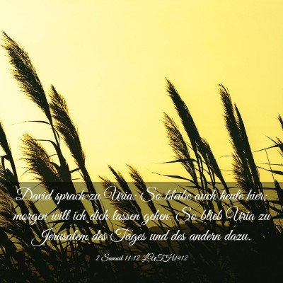Picture 03 - 2 Samuel 11:12 LUTH1912 - David sprach zu Uria: So bleibe auch heute hier; - Bible Verse Picture