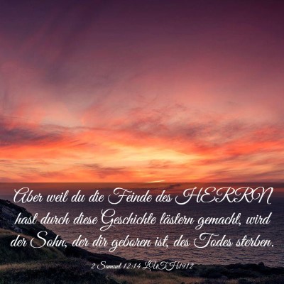 Picture 03 - 2 Samuel 12:14 LUTH1912 - Aber weil du die Feinde des HERRN hast durch - Bible Verse Picture