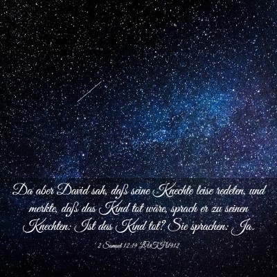 Picture 03 - 2 Samuel 12:19 LUTH1912 - Da aber David sah, daß seine Knechte leise - Bible Verse Picture