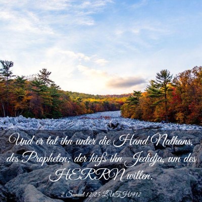 Picture 03 - 2 Samuel 12:25 LUTH1912 - Und er tat ihn unter die Hand Nathans, des - Bible Verse Picture