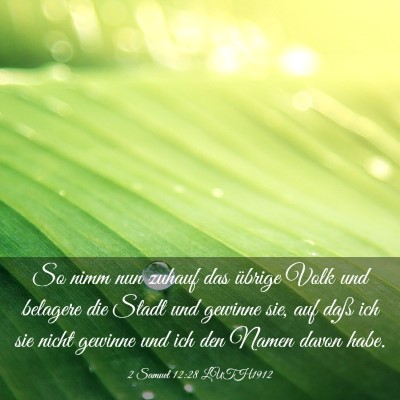 Picture 03 - 2 Samuel 12:28 LUTH1912 - So nimm nun zuhauf das übrige Volk und belagere - Bible Verse Picture
