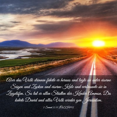 Picture 03 - 2 Samuel 12:31 LUTH1912 - Aber das Volk drinnen führte er heraus und legte - Bible Verse Picture