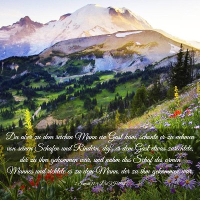Picture 03 - 2 Samuel 12:4 LUTH1912 - Da aber zu dem reichen Mann ein Gast kam, schonte - Bible Verse Picture