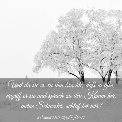 Picture 03 - 2 Samuel 13:11 LUTH1912 - Und da sie es zu ihm brachte, daß er äße, - Bible Verse Picture