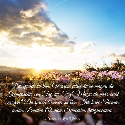 Picture 03 - 2 Samuel 13:4 LUTH1912 - Der sprach zu ihm: Warum wirst du so mager, du - Bible Verse Picture