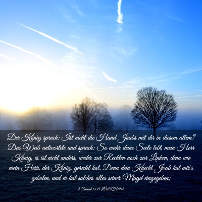 Picture 03 - 2 Samuel 14:19 LUTH1912 - Der König sprach: Ist nicht die Hand Joabs mit - Bible Verse Picture