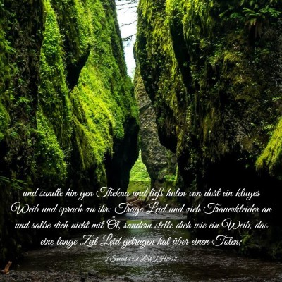 Picture 03 - 2 Samuel 14:2 LUTH1912 - und sandte hin gen Thekoa und ließ holen von - Bible Verse Picture