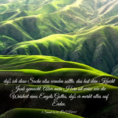 Picture 03 - 2 Samuel 14:20 LUTH1912 - daß ich diese Sache also wenden sollte, das hat - Bible Verse Picture