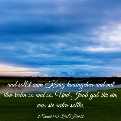 Picture 03 - 2 Samuel 14:3 LUTH1912 - und sollst zum König hineingehen und mit ihm - Bible Verse Picture