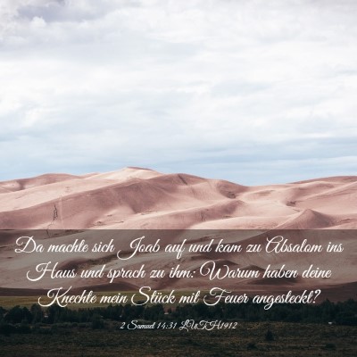Picture 03 - 2 Samuel 14:31 LUTH1912 - Da machte sich Joab auf und kam zu Absalom ins - Bible Verse Picture