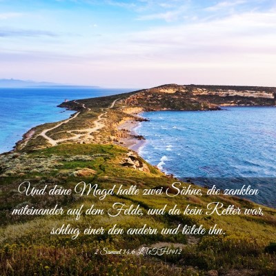 Picture 03 - 2 Samuel 14:6 LUTH1912 - Und deine Magd hatte zwei Söhne, die zankten - Bible Verse Picture