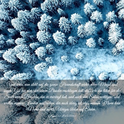 Picture 03 - 2 Samuel 14:7 LUTH1912 - Und siehe, nun steht auf die ganze Freundschaft - Bible Verse Picture