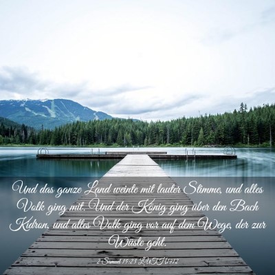 Picture 03 - 2 Samuel 15:23 LUTH1912 - Und das ganze Land weinte mit lauter Stimme, und - Bible Verse Picture