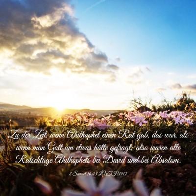 Picture 03 - 2 Samuel 16:23 LUTH1912 - Zu der Zeit, wenn Ahithophel einen Rat gab, das - Bible Verse Picture