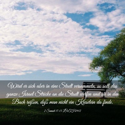 Picture 03 - 2 Samuel 17:13 LUTH1912 - Wird er sich aber in eine Stadt versammeln, so - Bible Verse Picture