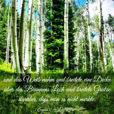 Picture 03 - 2 Samuel 17:19 LUTH1912 - und das Weib nahm und breitete eine Decke über - Bible Verse Picture