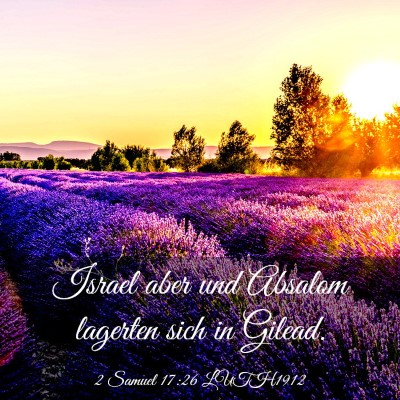 Picture 03 - 2 Samuel 17:26 LUTH1912 - Israel aber und Absalom lagerten sich in - Bible Verse Picture