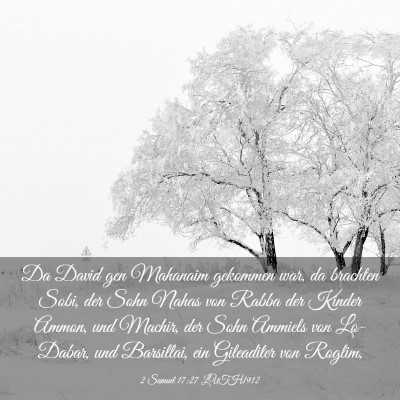 Picture 03 - 2 Samuel 17:27 LUTH1912 - Da David gen Mahanaim gekommen war, da brachten - Bible Verse Picture