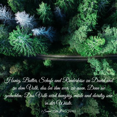 Picture 03 - 2 Samuel 17:29 LUTH1912 - Honig, Butter, Schafe und Rinderkäse zu David - Bible Verse Picture