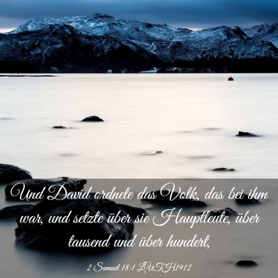 Picture 03 - 2 Samuel 18:1 LUTH1912 - Und David ordnete das Volk, das bei ihm war, und - Bible Verse Picture