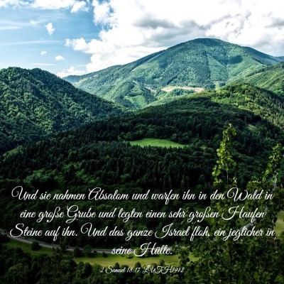 Picture 03 - 2 Samuel 18:17 LUTH1912 - Und sie nahmen Absalom und warfen ihn in den Wald - Bible Verse Picture