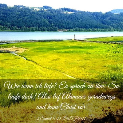 Picture 03 - 2 Samuel 18:23 LUTH1912 - Wie wenn ich liefe? Er sprach zu ihm: So laufe - Bible Verse Picture