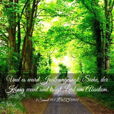 Picture 03 - 2 Samuel 19:1 LUTH1912 - Und es ward Joab angesagt: Siehe, der König - Bible Verse Picture