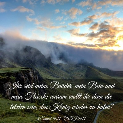 Picture 03 - 2 Samuel 19:12 LUTH1912 - Ihr seid meine Brüder, mein Bein und mein - Bible Verse Picture