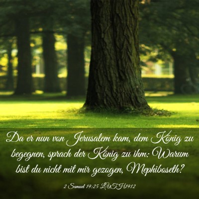 Picture 03 - 2 Samuel 19:25 LUTH1912 - Da er nun von Jerusalem kam, dem König zu - Bible Verse Picture