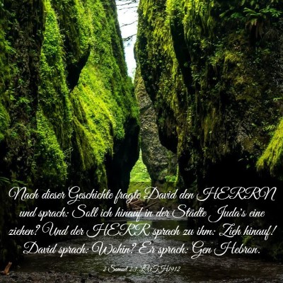 Picture 03 - 2 Samuel 2:1 LUTH1912 - Nach dieser Geschichte fragte David den HERRN und - Bible Verse Picture
