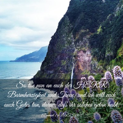 Picture 03 - 2 Samuel 2:6 LUTH1912 - So tue nun an euch der HERR Barmherzigkeit und - Bible Verse Picture