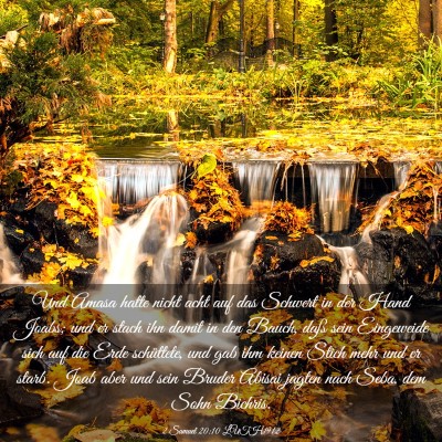Picture 03 - 2 Samuel 20:10 LUTH1912 - Und Amasa hatte nicht acht auf das Schwert in der - Bible Verse Picture