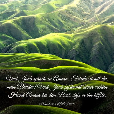 Picture 03 - 2 Samuel 20:9 LUTH1912 - Und Joab sprach zu Amasa: Friede sei mit dir, - Bible Verse Picture