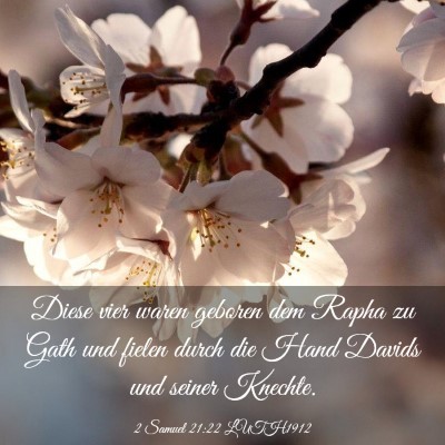 Picture 03 - 2 Samuel 21:22 LUTH1912 - Diese vier waren geboren dem Rapha zu Gath und - Bible Verse Picture