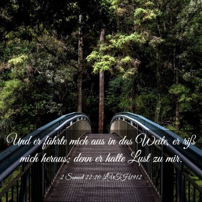 Picture 03 - 2 Samuel 22:20 LUTH1912 - Und er führte mich aus in das Weite, er riß - Bible Verse Picture