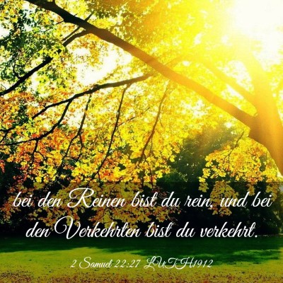 Picture 03 - 2 Samuel 22:27 LUTH1912 - bei den Reinen bist du rein, und bei den - Bible Verse Picture