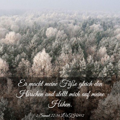 Picture 03 - 2 Samuel 22:34 LUTH1912 - Er macht meine Füße gleich den Hirschen und - Bible Verse Picture
