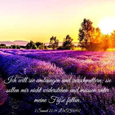 Picture 03 - 2 Samuel 22:39 LUTH1912 - Ich will sie umbringen und zerschmettern; sie - Bible Verse Picture
