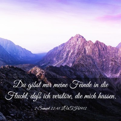 Picture 03 - 2 Samuel 22:41 LUTH1912 - Du gibst mir meine Feinde in die Flucht, daß ich - Bible Verse Picture