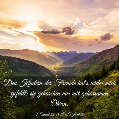 Picture 03 - 2 Samuel 22:45 LUTH1912 - Den Kindern der Fremde hat's wider mich gefehlt; - Bible Verse Picture