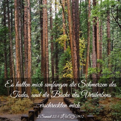 Picture 03 - 2 Samuel 22:5 LUTH1912 - Es hatten mich umfangen die Schmerzen des Todes, - Bible Verse Picture