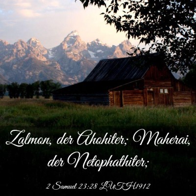 Picture 03 - 2 Samuel 23:28 LUTH1912 - Zalmon, der Ahohiter; Maherai, der - Bible Verse Picture