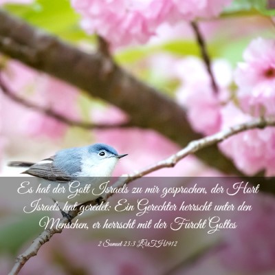 Picture 03 - 2 Samuel 23:3 LUTH1912 - Es hat der Gott Israels zu mir gesprochen, der - Bible Verse Picture