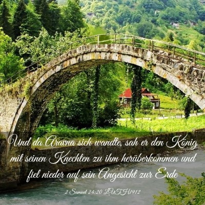 Picture 03 - 2 Samuel 24:20 LUTH1912 - Und da Aravna sich wandte, sah er den König mit - Bible Verse Picture