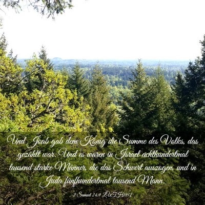Picture 03 - 2 Samuel 24:9 LUTH1912 - Und Joab gab dem König die Summe des Volks, das - Bible Verse Picture